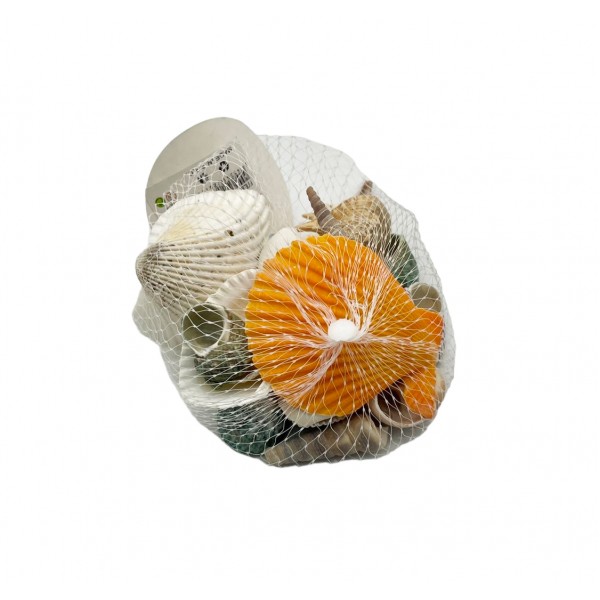 ΔΙΑΚΟΣΜΗΤΙΚΑ ΚΟΧΥΛΙΑ ΕΝΥΔΡΕΙΟΥ